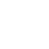 meticulous icon
