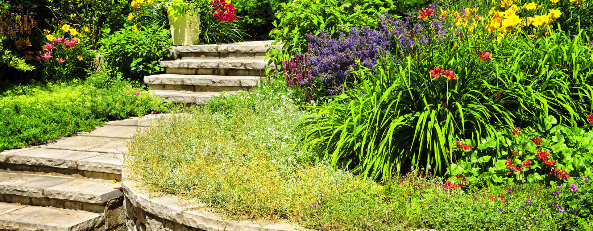 Landscaping Services