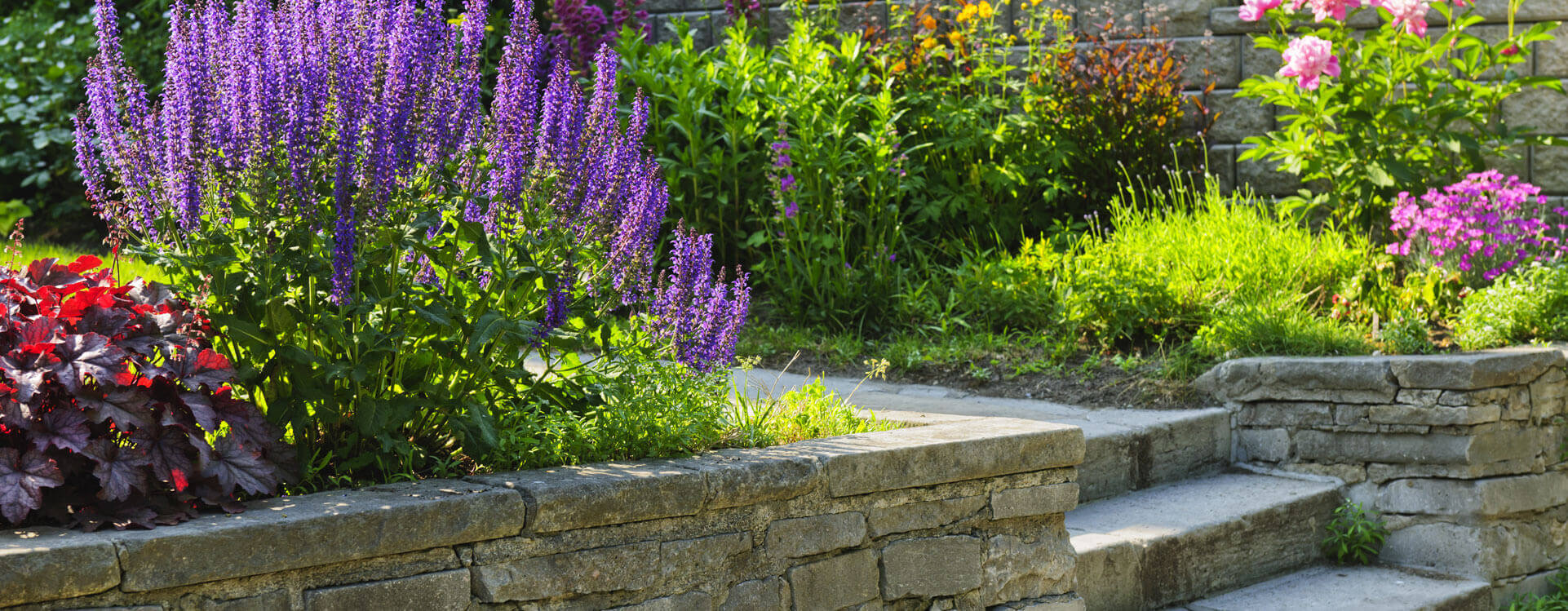 Hardscaping Services